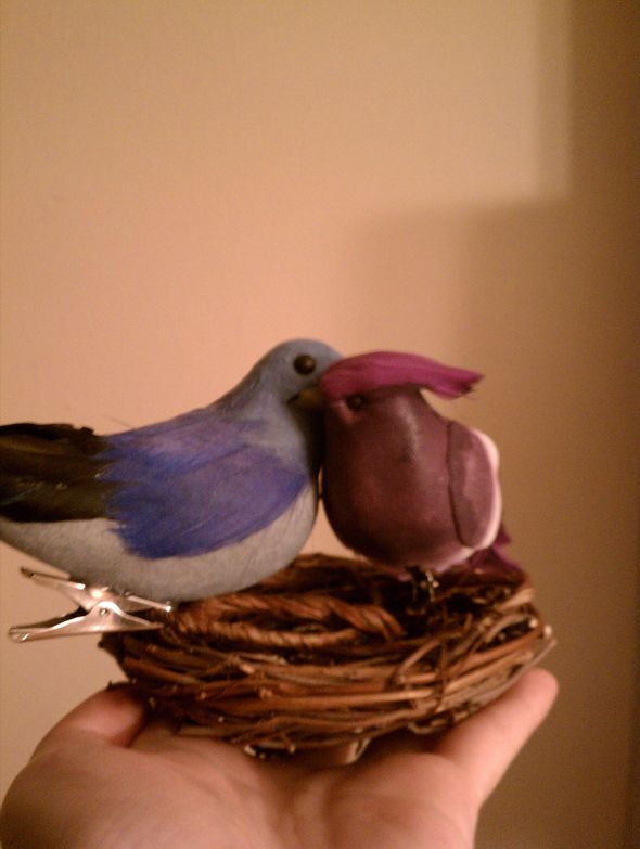 I was fortunate to find some mini fake feathered birds on clearance at 