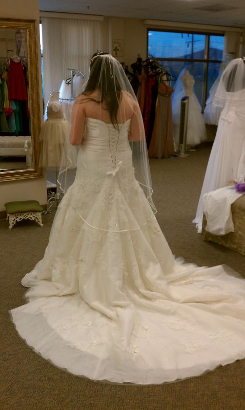 ITS FINALLY HERE (my dress arrived) :  wedding maggie sottero leighton dress fit n flare 1 fit and flare lace and tulle corset leighton by maggie sottero IMAG0413