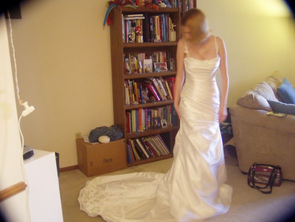 Crinoline Question :  wedding crinoline dye dress 004
