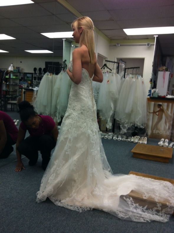 My Champagne Casablanca 1827 Has Finally Arrived!!! :  wedding casablanca 1827 1 dress champagne lace Casablanca3
