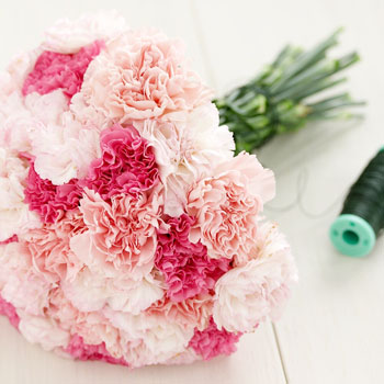 BM Bouquet Opinions Please wedding Pink Carnations Bouquets