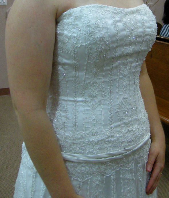 Show Me Your SPARKLY Beaded Dresses! :  wedding sparkly sparkle bead beaded show me dress IMG 4406