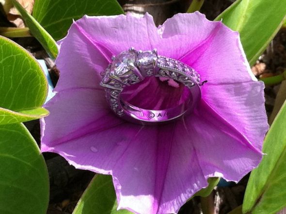 Can I see your nondiamond engagement ring and any sapphire ring advice welcomed! : wedding sapphire ering blue diamond 267875 10150231664821980 505551979 7602314 3759814 N