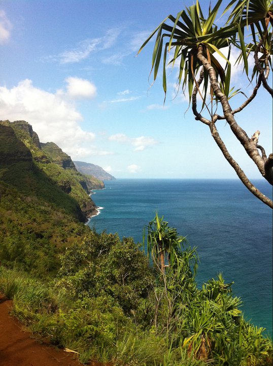 Hawaii - best islands? Weather? :  wedding Kauai