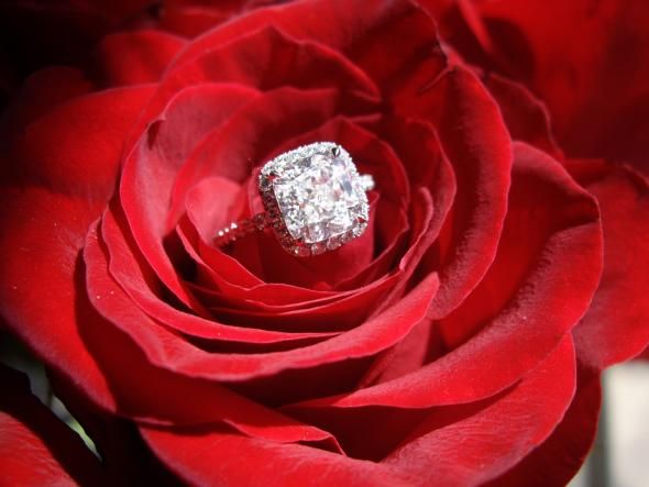 Just for FUN...Lets Trade Rings :  wedding trade engagement ring rings sparkly sparkle 1 Youngliz