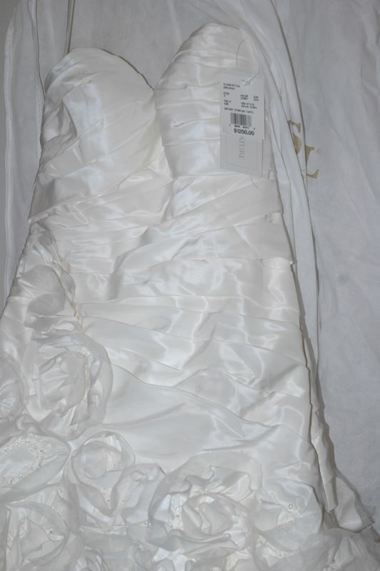 NEW Davids Bridal  Galina Signature SV415, Ivory, Size 4 $850 obo :  wedding davids bridal 1 galina signature dress ivory DSC 0007