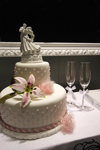 I would love to make this wedding cake wedding Two Tier Pink Pearls