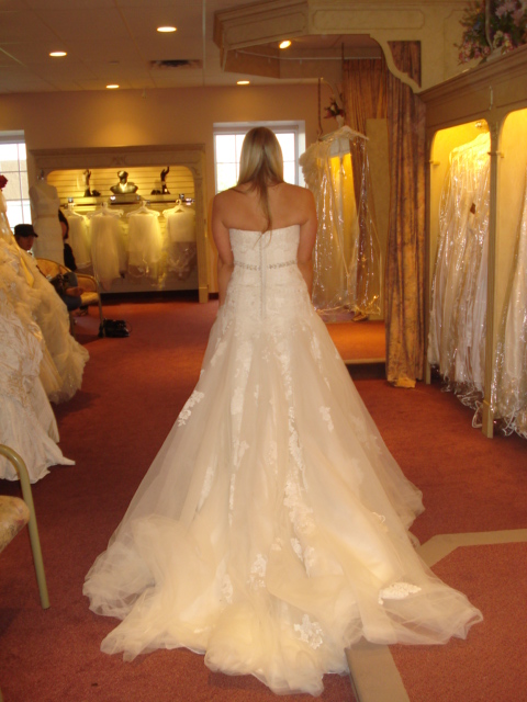 HELP! I can't decide between two dresses. Please let me know your thoughts! :  wedding dress enzoni maggie sottero Dress 1  Back