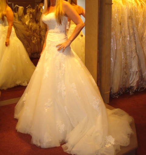 HELP! I can't decide between two dresses. Please let me know your thoughts! :  wedding dress enzoni maggie sottero Dress 1  Side
