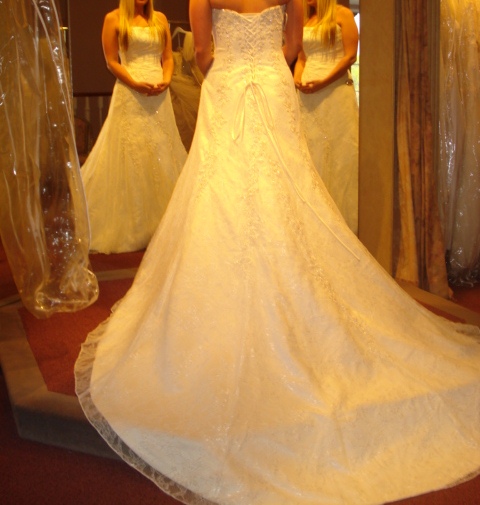 HELP! I can't decide between two dresses. Please let me know your thoughts! :  wedding dress enzoni maggie sottero Dress 2  Back