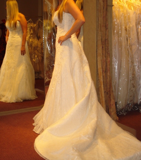HELP! I can't decide between two dresses. Please let me know your thoughts! :  wedding dress enzoni maggie sottero Dress 2  Side