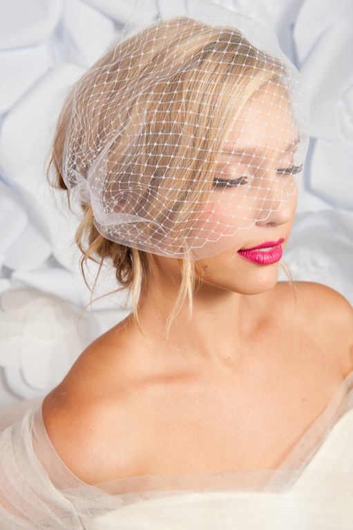Which veil with my dress? :  wedding veils birdcage 20110915 1511 XL