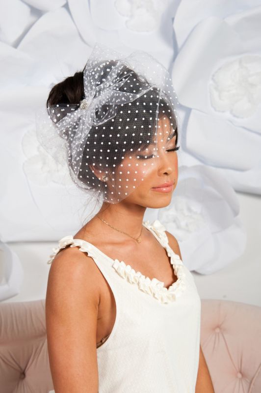 Which veil with my dress? :  wedding veils birdcage 20110915 1652 X2