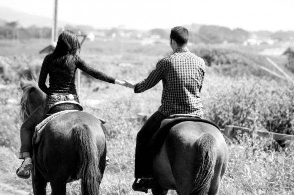Wedding Engagement Pictures Photos : wedding IMG 5417