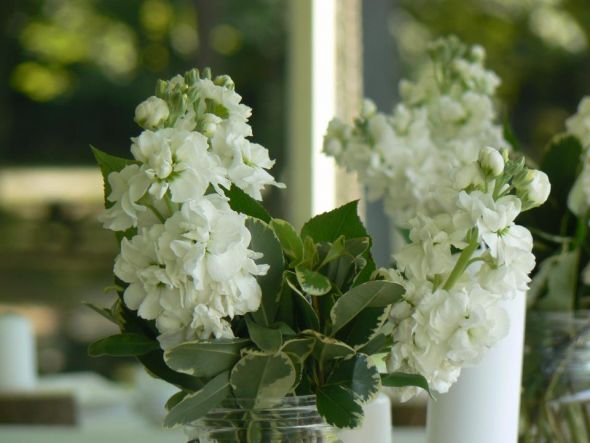 Rustic Wedding :  wedding rustic outdoors park wedding 301890 10150289681882719 556452718 7632943 7607045 N