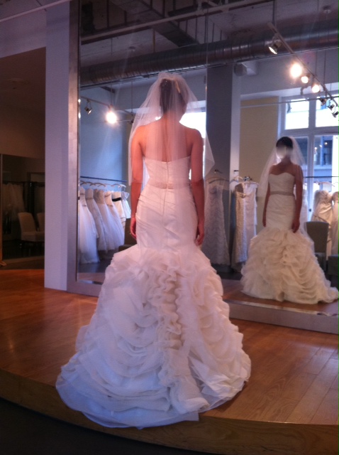 Lazaro 3050 vs Rivini Tahlia - Which Dress??? :  wedding lazaro rivini tahlia lazaro 3050 mermaid poll Riviniback