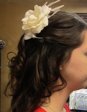 Help me find Hair Accessories! (pics) :  wedding hair accessories hair trial headband headpiece 0IMG 4970