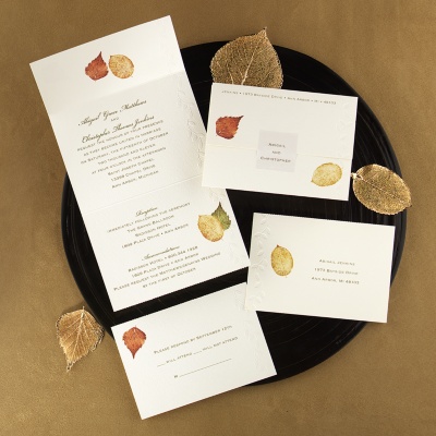 Seal and Send Invites :  wedding invitations paper leaves fall sticker mail help seal and send 2657 DWF30539zm