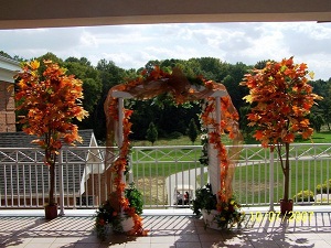 Fall wedding ideas! :  wedding 8a69db2029d9c7d7572cee63ef82f4c8 M