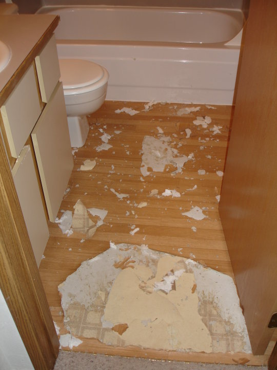 Working bees, what do you do with your furbabies? :  wedding Bathroom