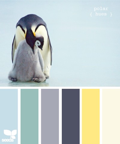 Stressed about gender neutral already! :  wedding Polar