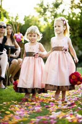 Flower girl Ideas :  wedding C59f13a8844ebc4672570ad22aa14b97 M
