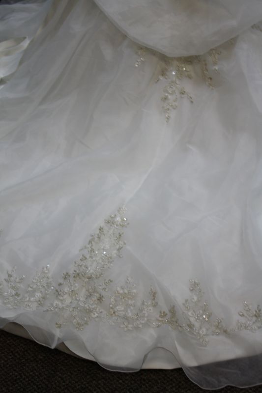 Show Me Your SPARKLY Beaded Dresses! :  wedding sparkly sparkle bead beaded show me dress IMG 7675 2