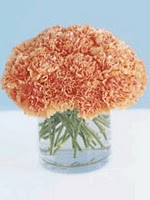 Black and Green brides or anyone really I need some advice! :  wedding centerpieces green black damask flowers help decoration carnations Carnation Boquet