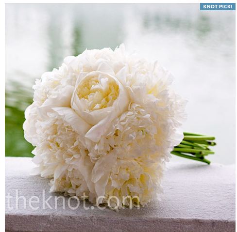 Peonies Help :  wedding peonies hydrangias flowers help advice Boquet