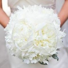Peonies Help :  wedding peonies hydrangias flowers help advice Brides Bouquet Inspiration For Fullness But Made With Some Fillers To Keep Cost Down 2