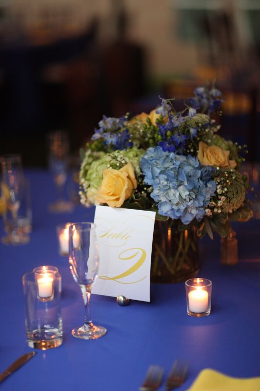 I got married there in February and we used royal blue and yellow