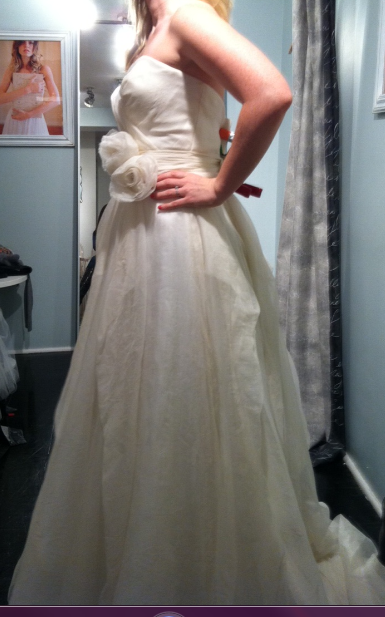 Help me choose my wedding dress! [pic heavy] :  wedding help choose dress wedding gown Side View2