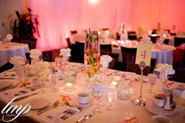 June 2012 (or any other summer brides) - What are your colors? :  wedding gray pink color 0836 IMG 4563