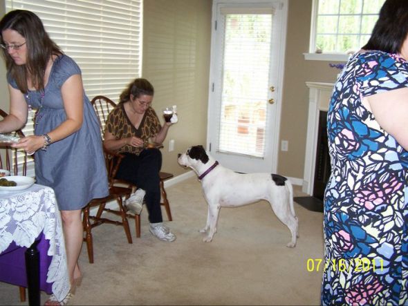 Some Famiy Pics from our Wedding (that was planned in 72 hours) : wedding recap quick wedding navy wedding 15 Gabby Begging