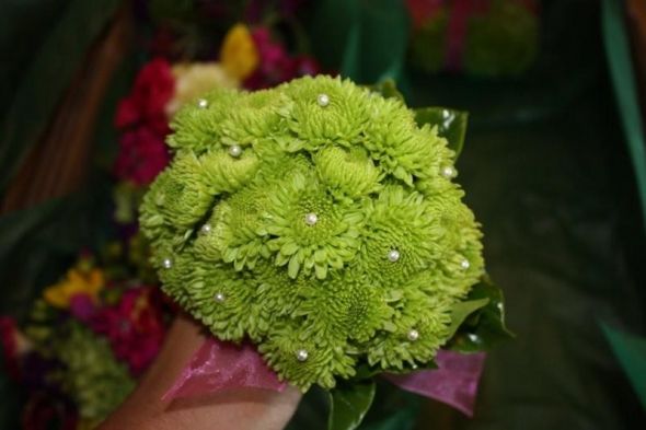 Help Me Choose My Bouquets! :  wedding diy bouquet green spider mums button mums flowers dianthus green flowers bouquets advice 6a01127918a34b28a4011571865b0f970b 800wi