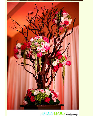 I need help choosing wedding colors and bridesmaid colors! :  wedding reception bridesmaid dresses westin kierland wedding colors Gorgeous Manzanita Centerpiece