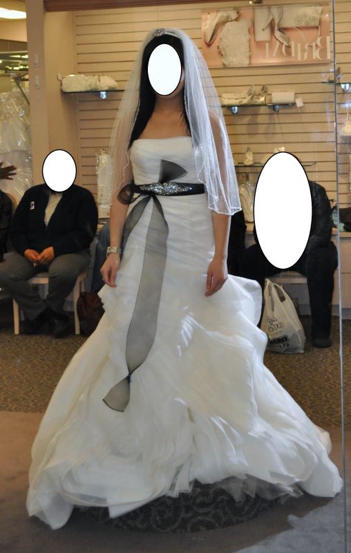 Is this White by Vera Wang gown VW351011 too much for Beach wedding? :  wedding white by vera wang beach wedding wedding dress strapless destination vera wang DSC 0785