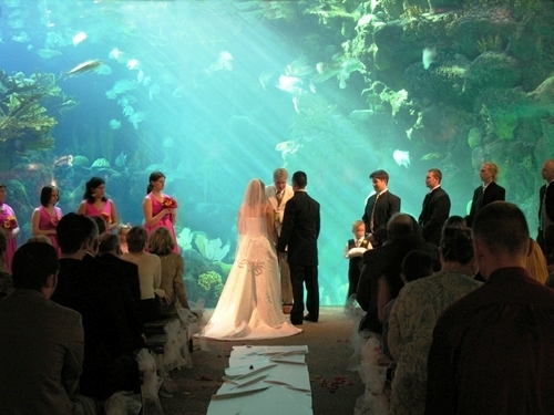 What different kind of ceremony sites are you using Pic heavy wedding 