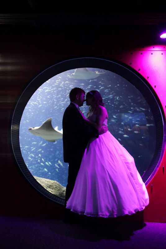 What were your favorite professional pictures from your big day? :  wedding best pics ZPBrideGroomCircleWindowNoses