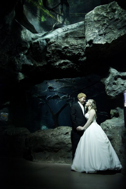 What were your favorite professional pictures from your big day? :  wedding best pics ZPBrideandGroomRocks2