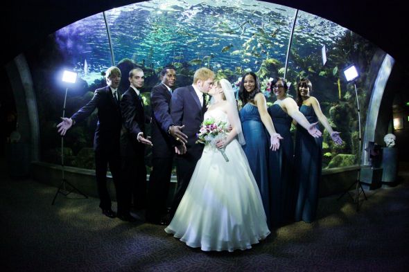 What were your favorite professional pictures from your big day? :  wedding best pics ZPFullBridalPartyTaDa
