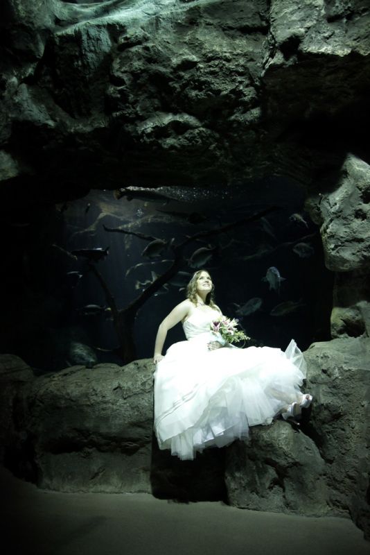 Which picture for canvas? :  wedding canvas pictures ZZPBrideonRock
