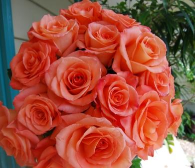 I am doing a bouquet of 2 dozen orange roses I just love the simplicity of