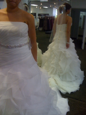 2010 plus size wedding dresses customers from Oklahoma City always ask me