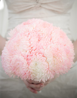 Flowerspiration! : wedding Pink Chrysanthemum