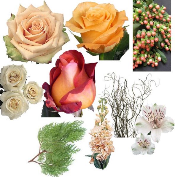 Need advice on DIY flowers!! :  wedding flowers diy help me pick choose the flower exchange hydrangeas Flowers Redo