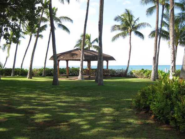 Perfect Wedding Location :  wedding venues beach reception ceremony 4561