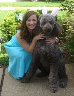 Post a pic of your pet in a halloween costume : wedding pets Audrey And Sammy