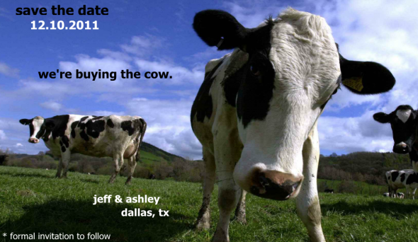 Off beat Geek weddings? : wedding Cow