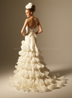 Is this dress really that bad? PIC Heavy! :  wedding dress jasmine bridal F420 B